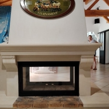 img Les portes vitrées de cheminée